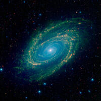 M81 Galaxy James Webb