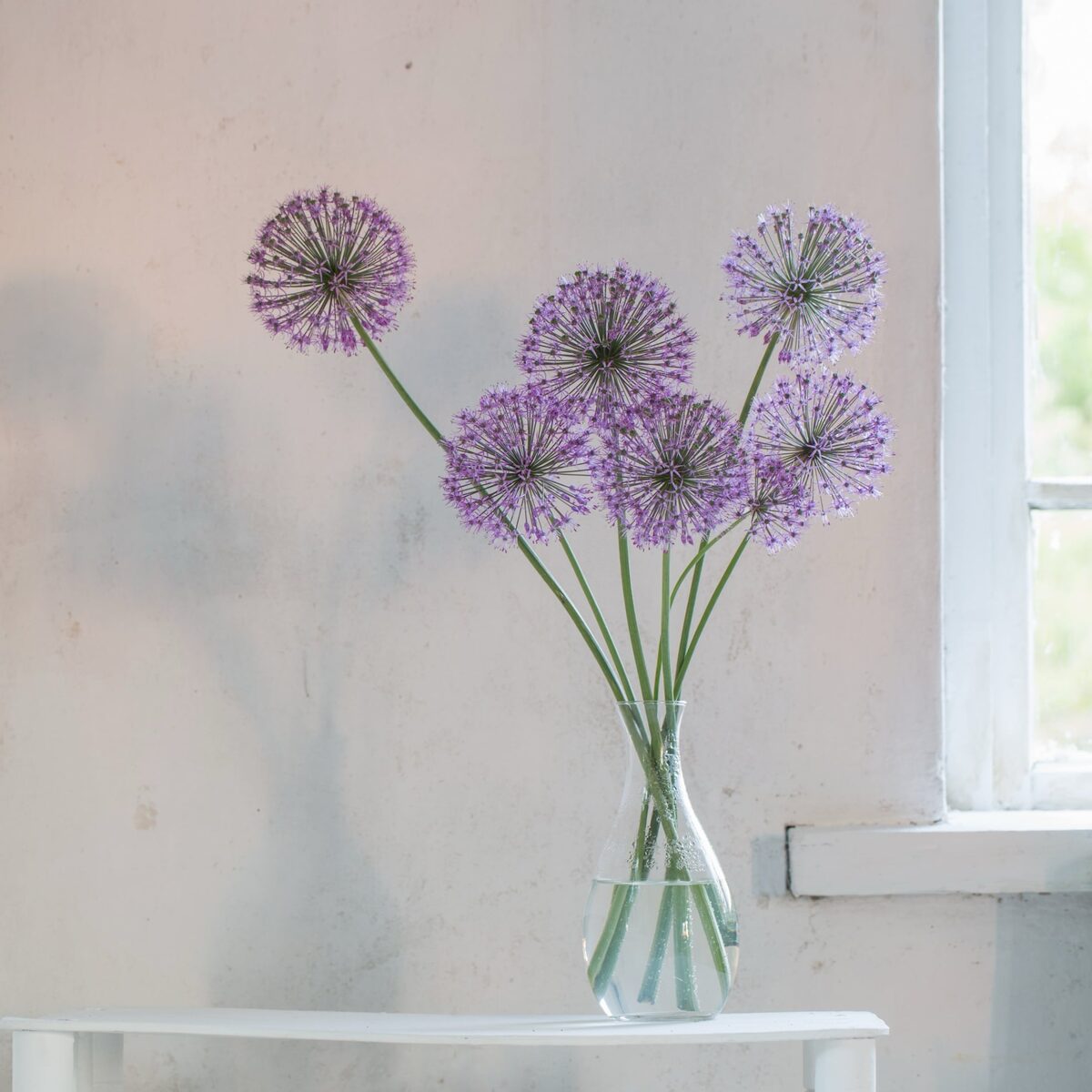 Ein Blumenstrauß in einer Glasvase, die zur Hälfte mit Wasser gefüllt ist.