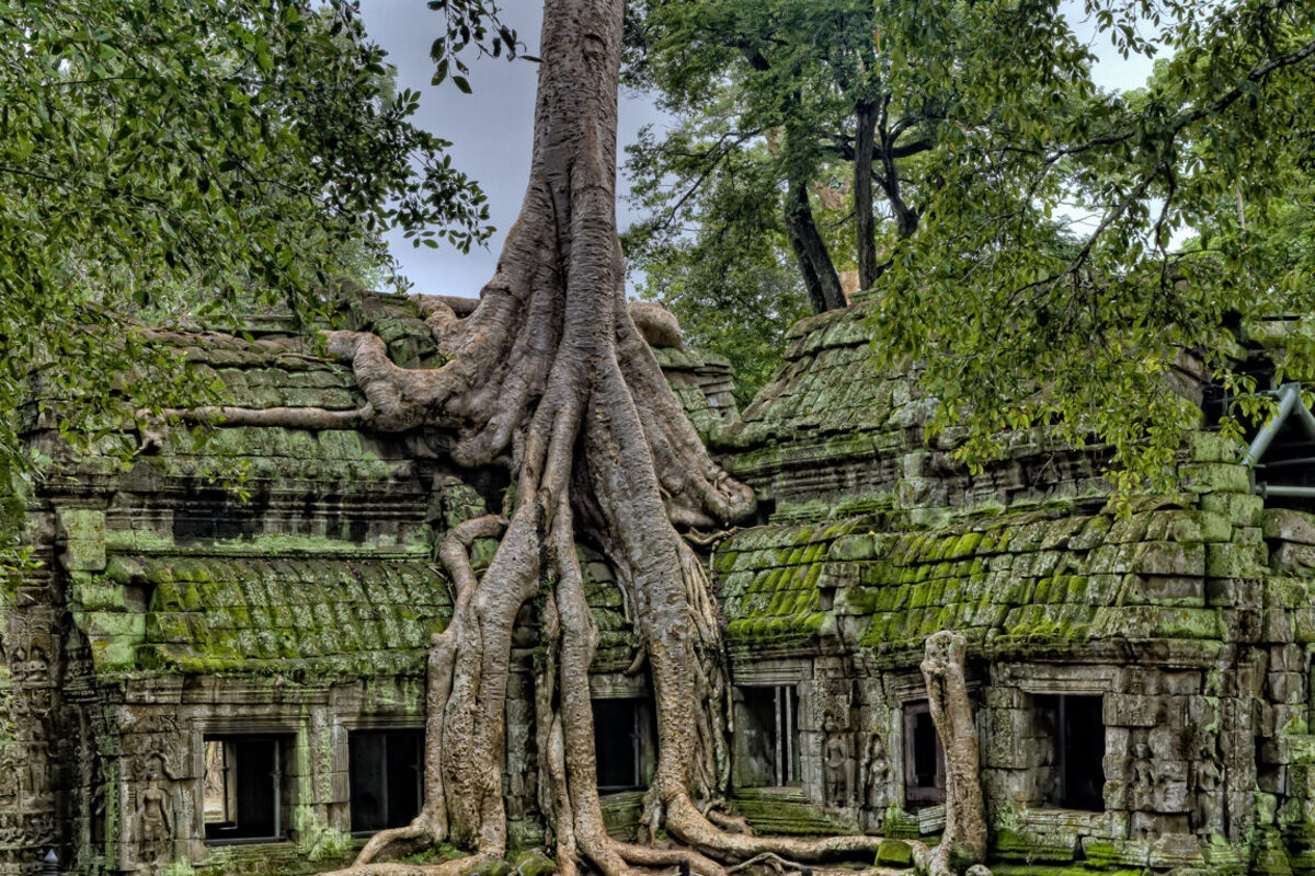 Die Tempelanlage von Angkor Wat aus der Nähe.